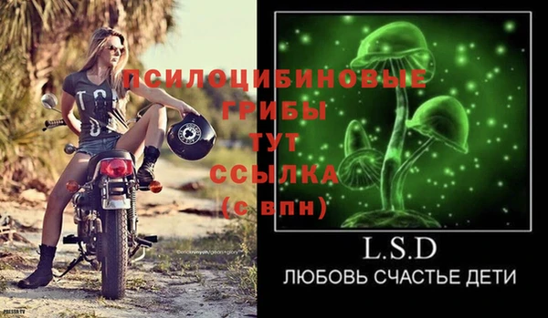 первитин Козельск