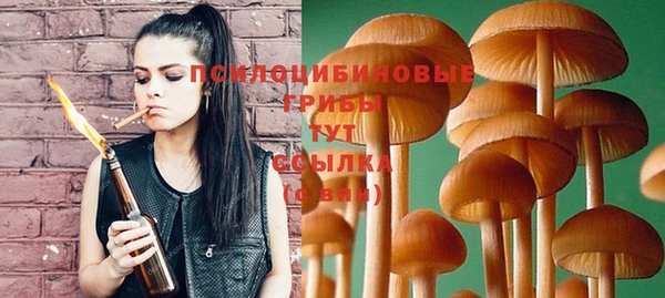 первитин Козельск
