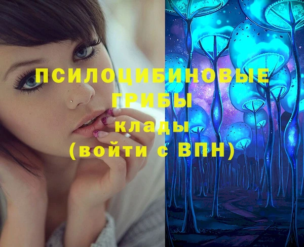 первитин Козельск