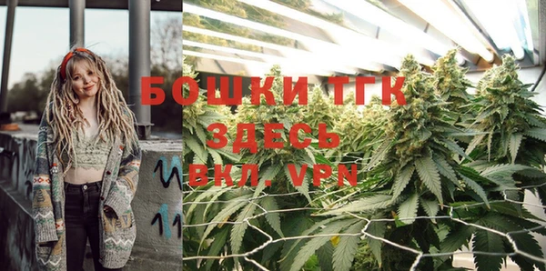 мяу мяу мука Кодинск
