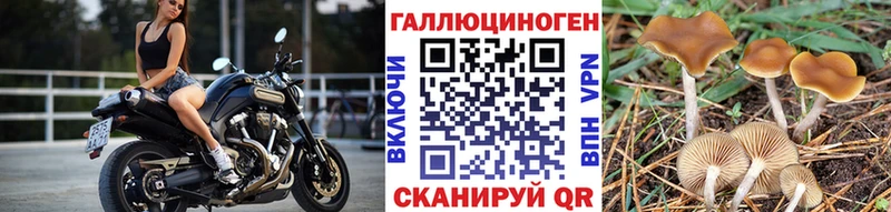 Купить закладки  Усть-Лабинск  Псилоцибиновые грибы ЛСД 